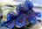 Tridacna maxima "blau" ca. 5-8 cm