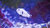 Amphiprion ocellaris - Snow Storm ! Nachzuchten USA